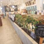 両国にあるワンちゃんOKのカフェ＆ペット複合施設「Rcafe 192」に行ってきました。