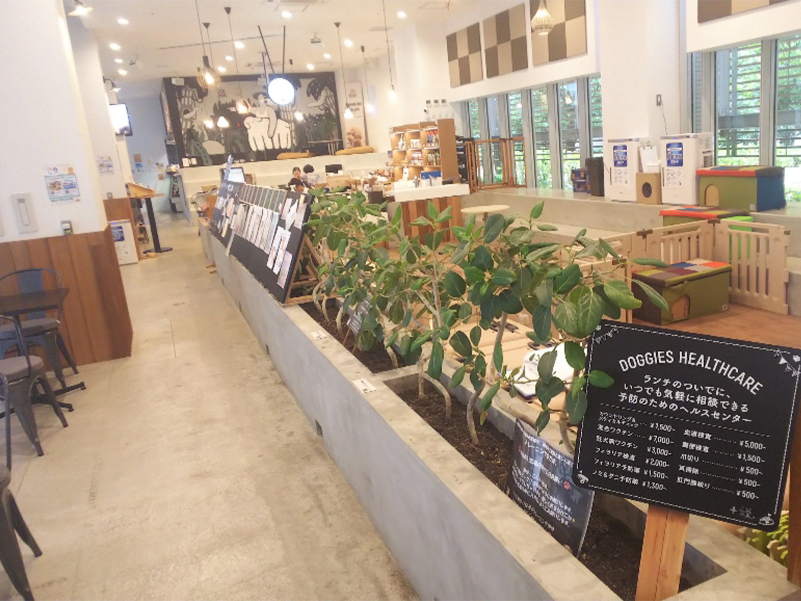 両国にあるワンちゃんOKのカフェ＆ペット複合施設「Rcafe 192」に行ってきました。のアイキャッチ画像
